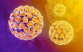 Illustration for article titled Obat Untuk Menghilangkan Virus HPV